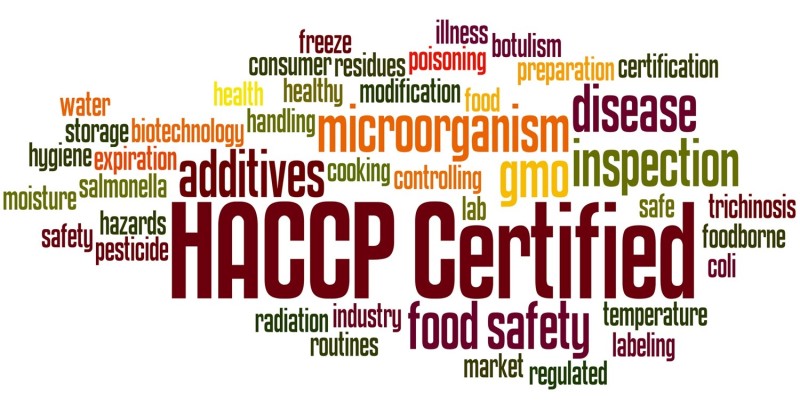 Haccp